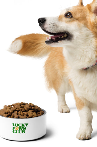 Lucky Paws Club Logo Only Pet Bowl