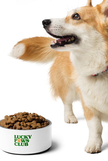 Lucky Paws Club Logo Only Pet Bowl