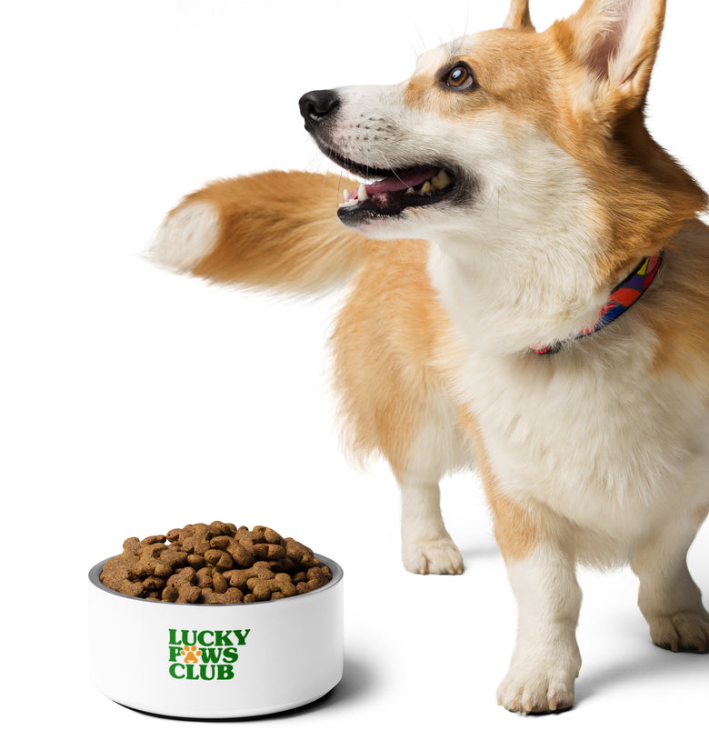 Lucky Paws Club Logo Only Pet Bowl